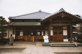 Gotokuji: The Shrine of the Lucky Cat in Tokyo by Ken Tempelers