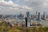 Skyline van Rotterdam met zicht op de Erasmusbrug en de kop van zuid van W J Kok thumbnail