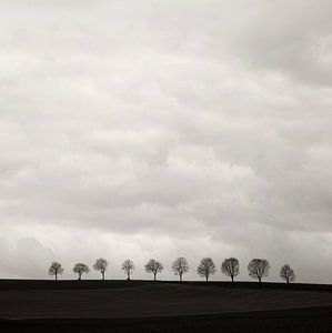 Minimal Land  Art