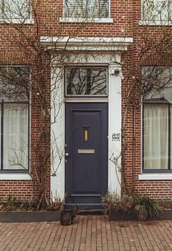 Pastel blauwe voordeur in Haarlem | Fine art foto print | Nederland, Europa van Sanne Dost