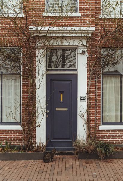 Blue front door Haarlem | Fine art photo print | Netherlands, Europe by Sanne Dost