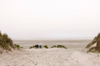 Dunes and grey skies above the Dutch Wadden island of Ameland.