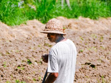 Man aan het werk op de rijstvelden in Bali van Petra Brouwer