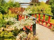 The Red Bridge by Dorothy Berry-Lound thumbnail