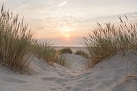 Sonnenuntergang auf Terschelling