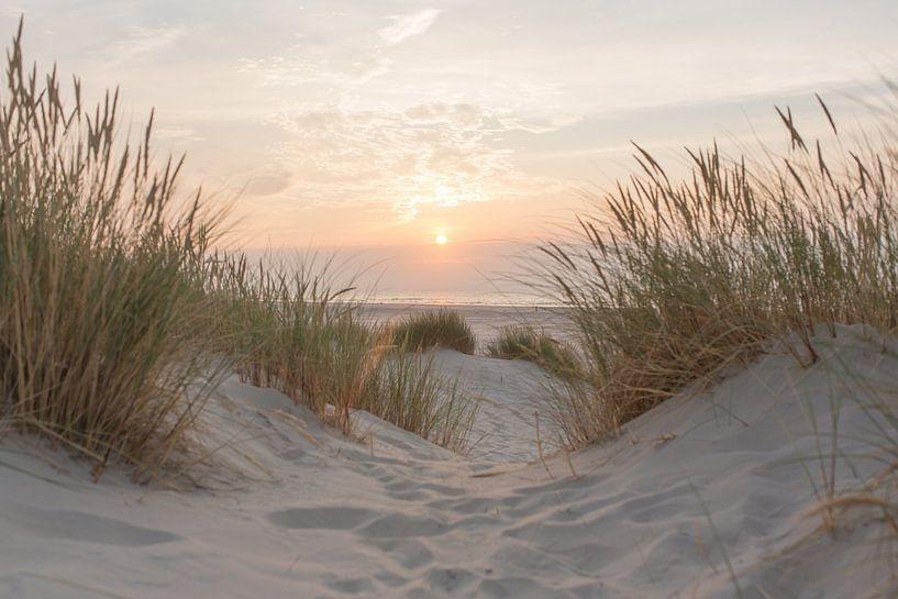 Sonnenuntergang auf Terschelling von Laura Elkhuizen Fotografie