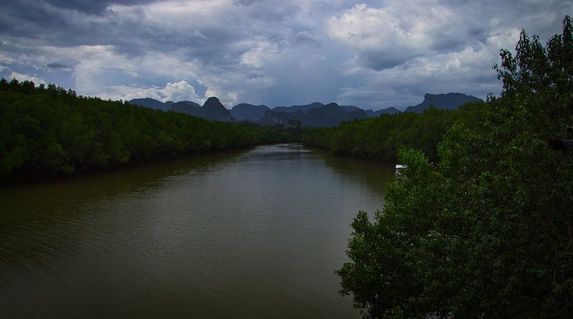 Rivier in de jungle van Daniel Gieser