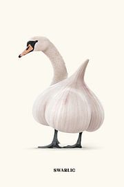 Swarlic von Jonas Loose