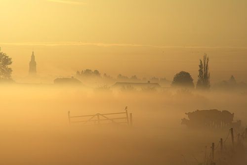 Morning landscape with fog over the meadows near Nijkerk