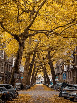 Lomanstraat im Herbst #5 von Roger Janssen
