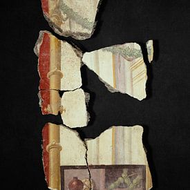 A Collection of Fresco Fragments - part 3 von Marja van den Hurk