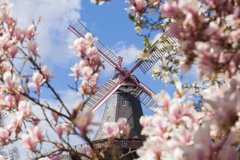 Wallmühle, Bremen von Torsten Krüger