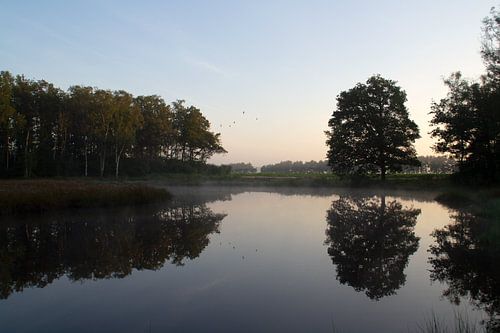 Matinée tranquille sur la Veluwe au bord de l'eau
