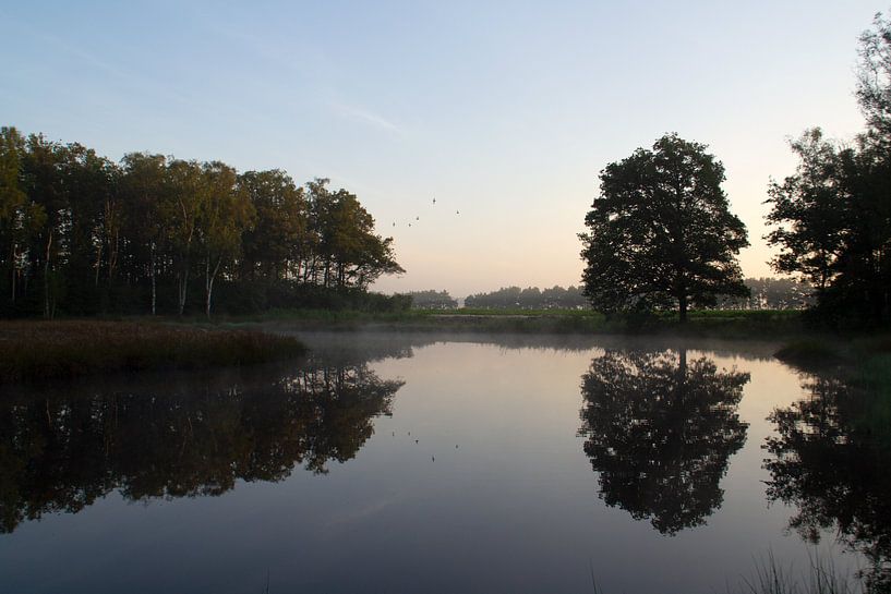 Ruhiger Morgen auf der Veluwe am Wasser von Esther Wagensveld