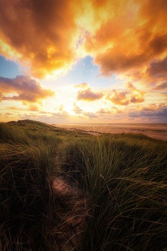 Promenade au coucher du soleil sur Cho Tang