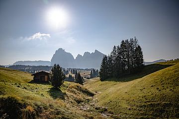 Wandel over Alpe di Siusi (Seiser Alm) III | Een reis door de Dolomieten, Italië van Roos Maryne - Natuur fotografie
