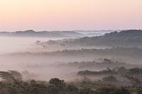 Toskanische Absichten