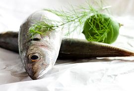 Horsmakreel von Martin Smit