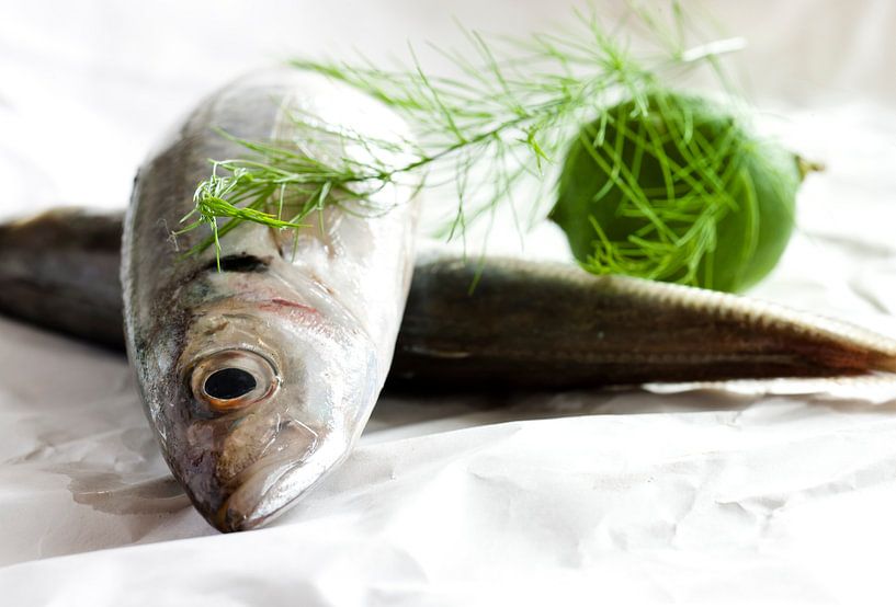 Horsmakreel by Martijn Smit