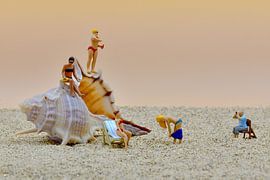 Voyeur van Sandra Raangs