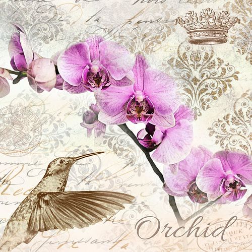Kolibri und Orchidee