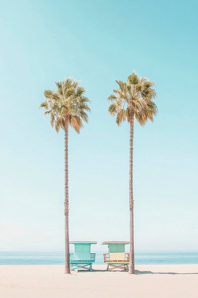 Palm trees on the beach by Poster Art Shop