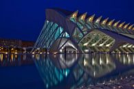 Valencia by Calatrava van Dave Lans thumbnail