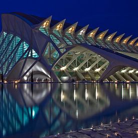 Valencia by Calatrava van Dave Lans