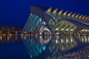 Valencia by Calatrava van Dave Lans