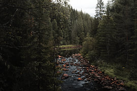 Nordic River – Horizontales Landschaftsfoto der skandinavischen Wildnis von Dylan Winter Visuals