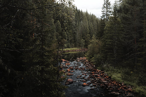 Nordic River – Horizontales Landschaftsfoto der skandinavischen Wildnis