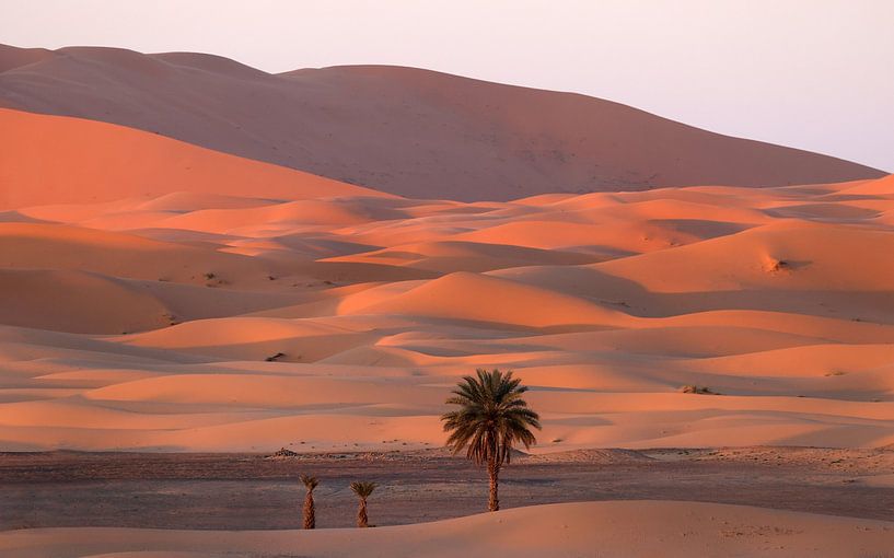 Moody evening light in the Erg Chebbi desert by Jacques van der Neut