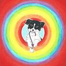 Sendie in een regenboog van Rianne Brugmans van Breugel thumbnail