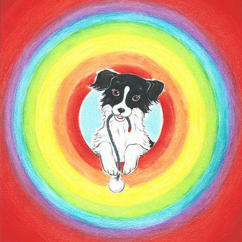 Sendie in een regenboog