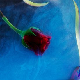 Art Colors Profilfoto