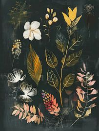 Illustration botanique sur Japandi Art Studio