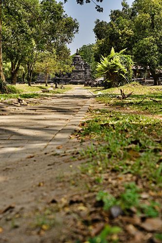 Onder de bomen, de heilige stenen van Java