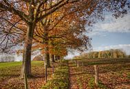 Herfst in Zuid-Limburg van John Kreukniet thumbnail