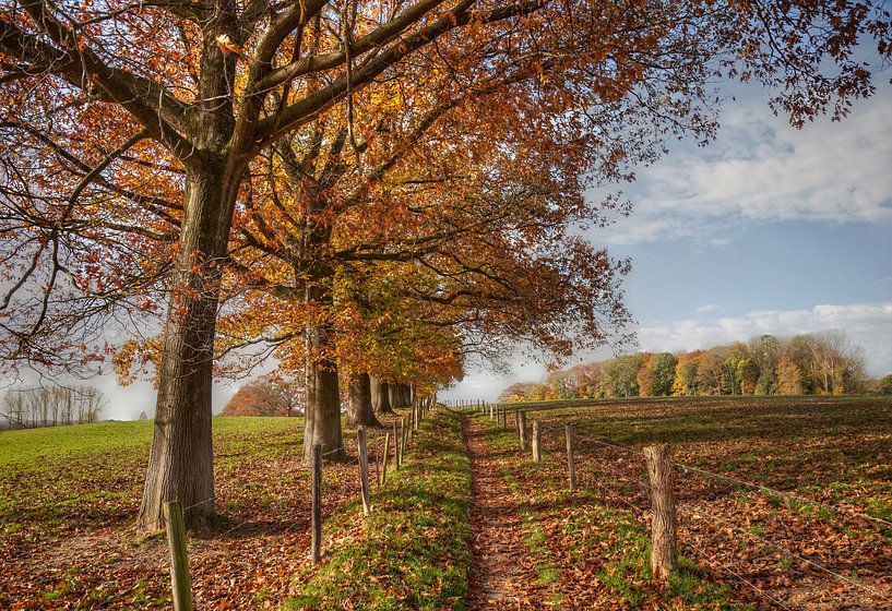 Herbst in Südlimburg von John Kreukniet