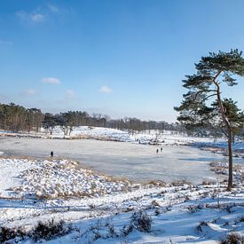 wonderful world of snow and ice by Karin Hendriks Fotografie