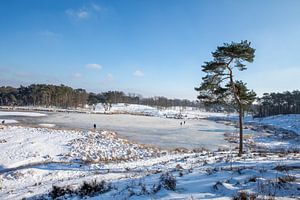 wondere wereld van sneeuw en ijs van Karin Hendriks Fotografie