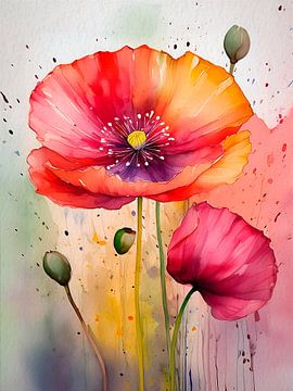 Sfeervol aquarel  schilderij van een grote Klaproos van Studio Pieternel