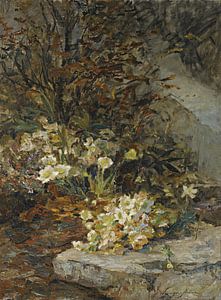 Olga Wisinger-Florian – Huflattich