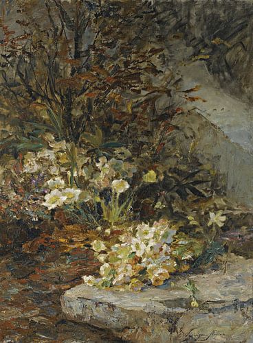 Olga Wisinger-Florian - Nieskruid