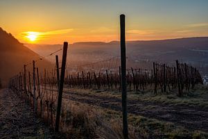 Sonnenaufgang im Weinberg van Heinz Grates