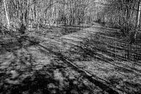 The shadows advance