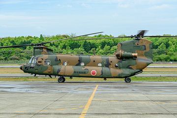 Japanse Boeing CH-47 Chinook transporthelikopter. van Jaap van den Berg