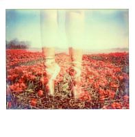 Ballet in tulip field