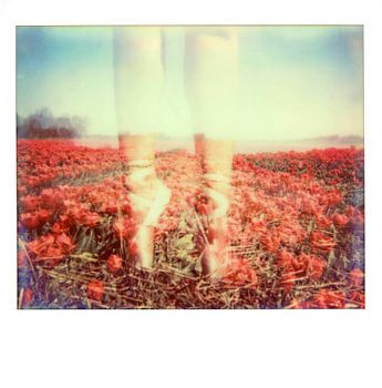 Ballet in tulpenveld