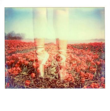 Ballet in tulip field by Lilian Wildeboer